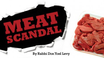 Meat Scandal
