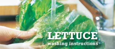 Lettuce: Washing Instructions