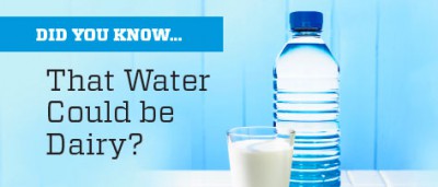 Did You Know…That Water Could be Dairy?