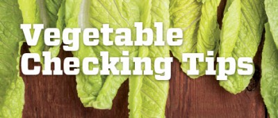 Vegetable Checking Tips