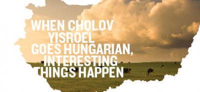 When Cholov Yisroel Goes Hungarian Interesting Things Happen