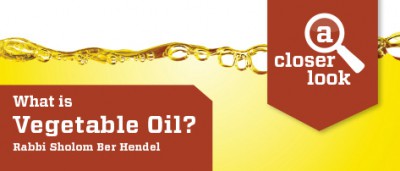 What is Vegetable Oil?