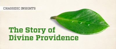 The Story of Divine Providence